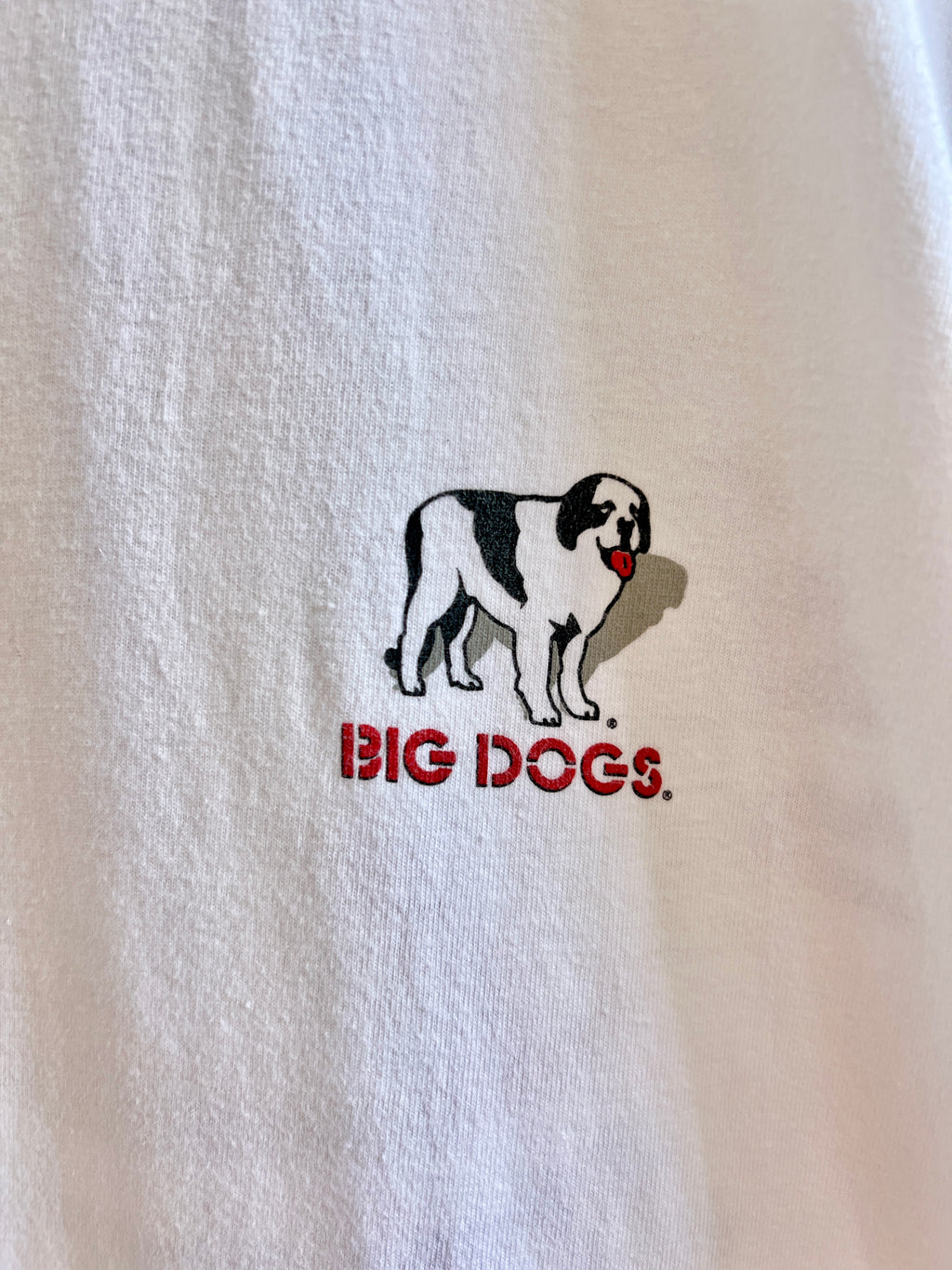 Vintage Big Dogs Baseball ’00 T-Shirt – XL