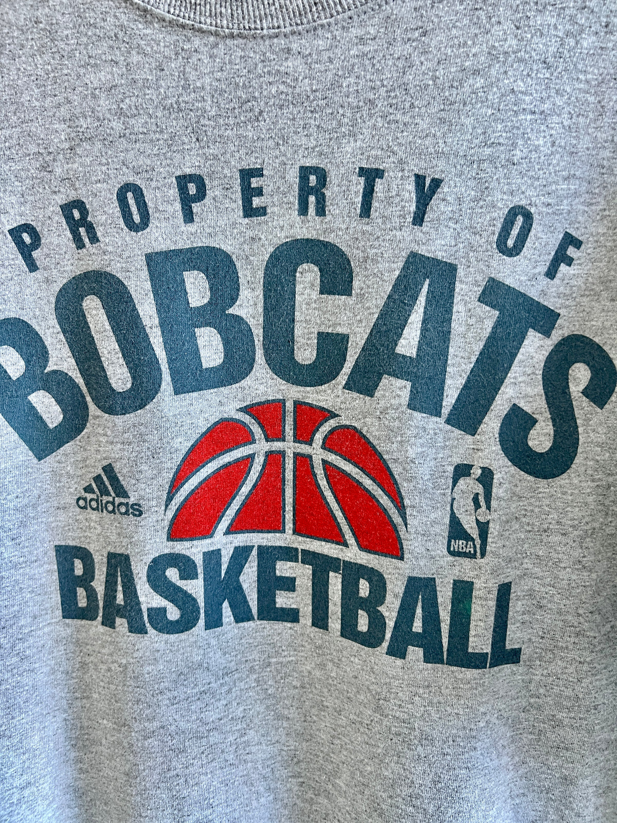 Vintage Charlotte Bobcats ’00s T-Shirt – L/XL