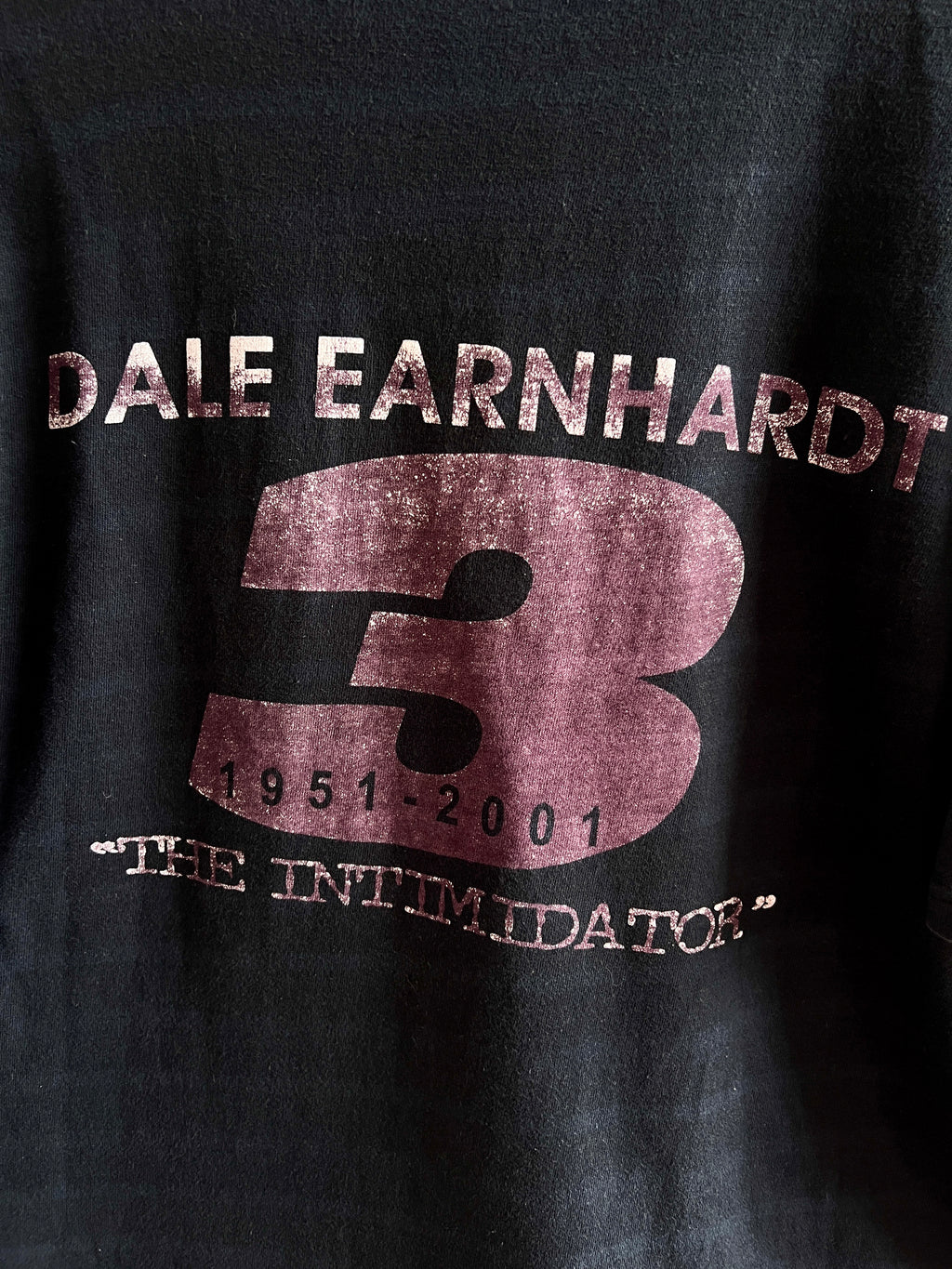 Vintage Dale Earnhardt ’01 T-Shirt – L
